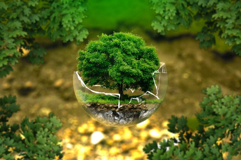Ecologische Tuinideeën voor een Groene Leefomgeving