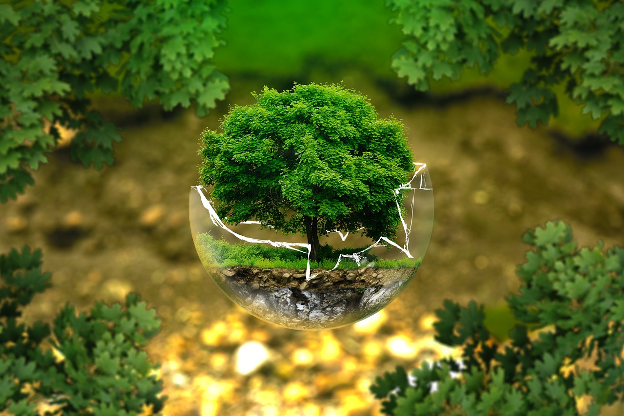 Ecologische Tuinideeën voor een Groene Leefomgeving