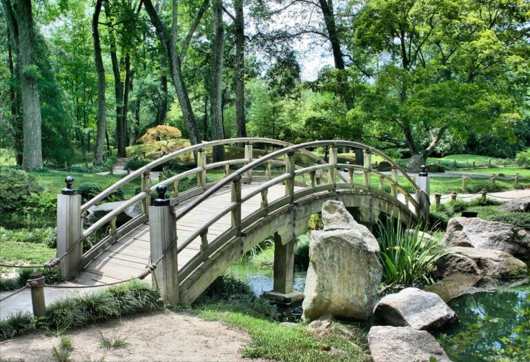 Hoe tuin inrichten? Praktische tips!